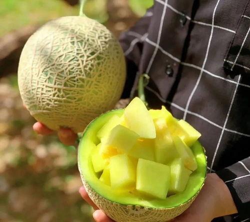 娱乐圈吃瓜套餐,揭秘明星背后的秘密与风波