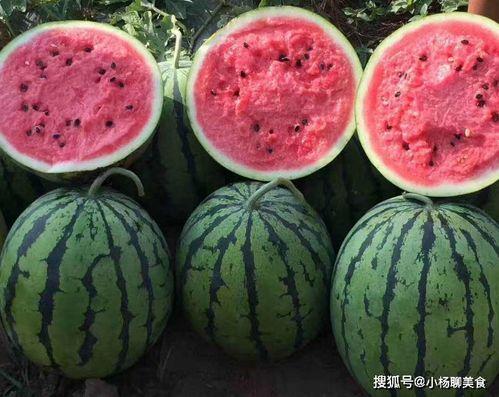 不舍昼夜吃瓜娱乐,揭秘不舍昼夜的娱乐盛宴